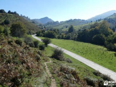 Selva de Irati - Puente del Pilar actividades para singles en madrid rutasdetoledo galayos gredos ru